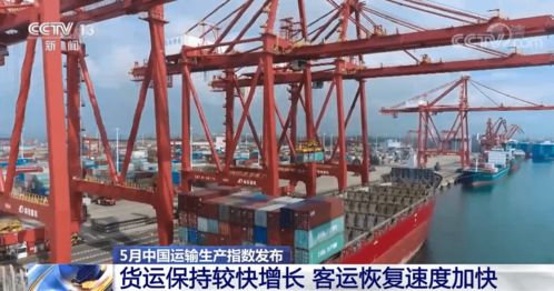 5月中國運(yùn)輸生產(chǎn)指數(shù)發(fā)布 貨運(yùn)保持較快增長，客運(yùn)恢復(fù)提速，道路貨運(yùn)彰顯韌性